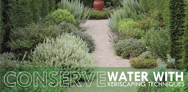 Xeriscaping blog banner