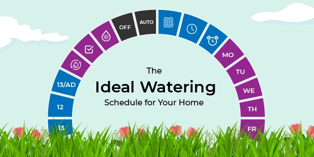 The Ideal Watering Schedule for Your Home blog banner