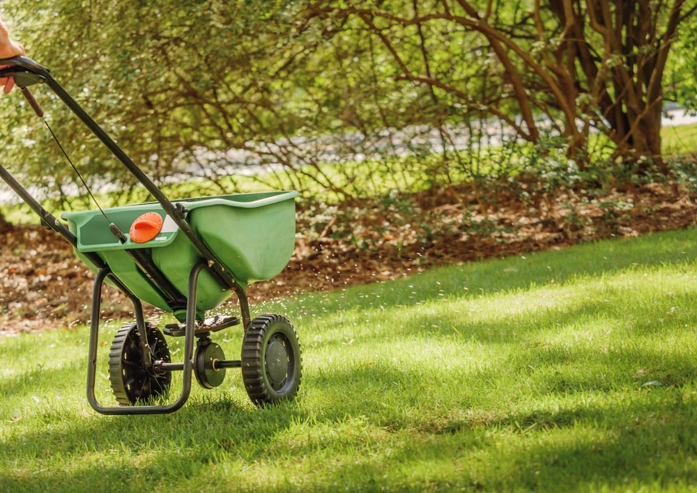 Landscaper using fertilizer spreader on grass