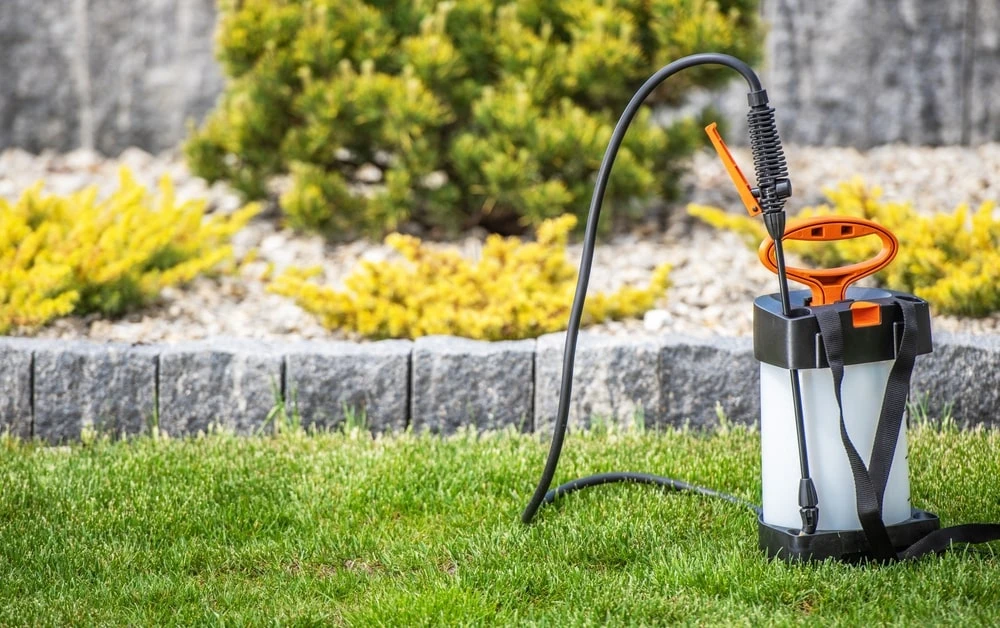Insecticide spray equipment on lawn