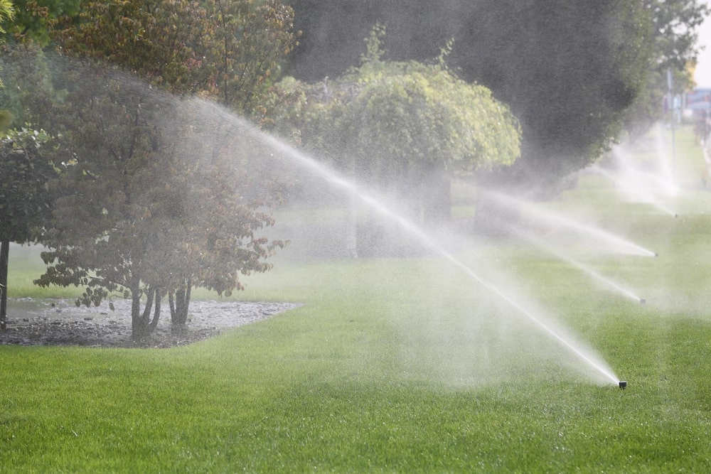 Sprinkler system watering trees