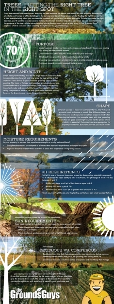 The Grounds Guys infographic about trees