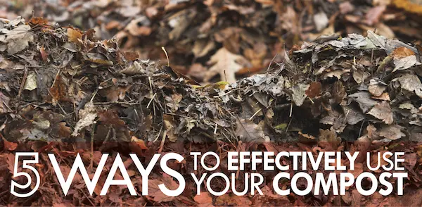 5 Ways to Effectively Use Your Compost blog banner