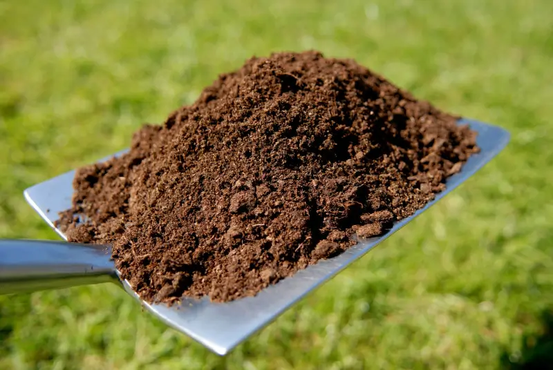 Compost on a shovel for top dressing on lawn