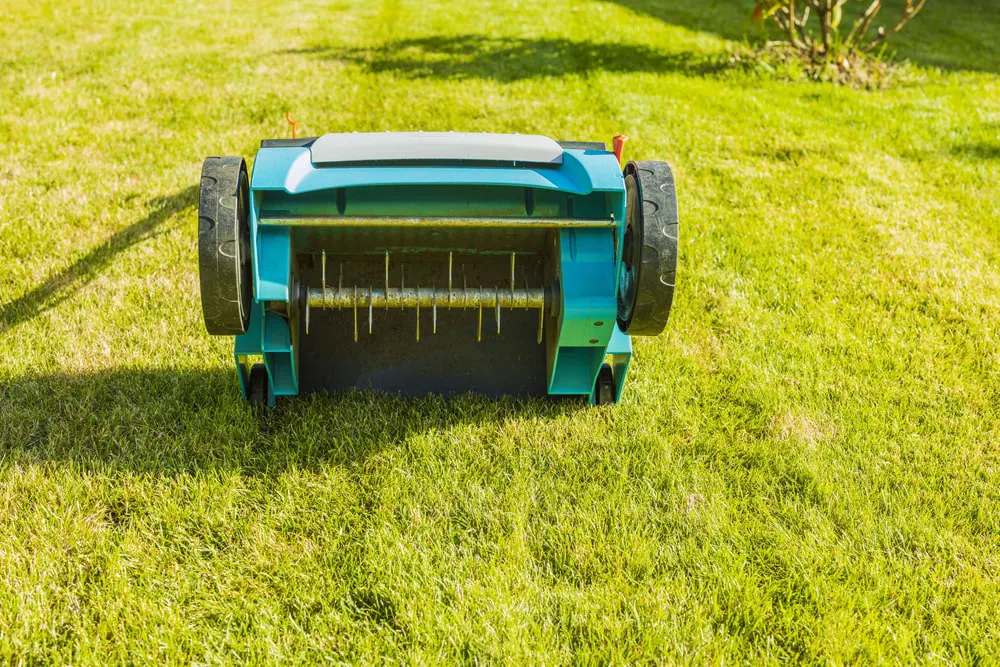 Electric lawn aerator on green grass.