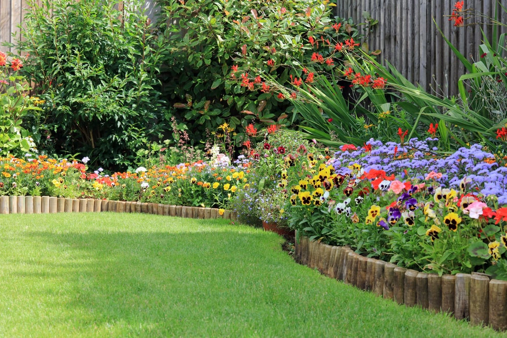 Flowerbed garden with wood edging in a backyard