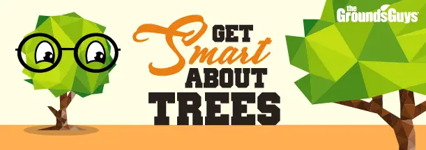 Cartoon trees with text: "Get smart about trees: