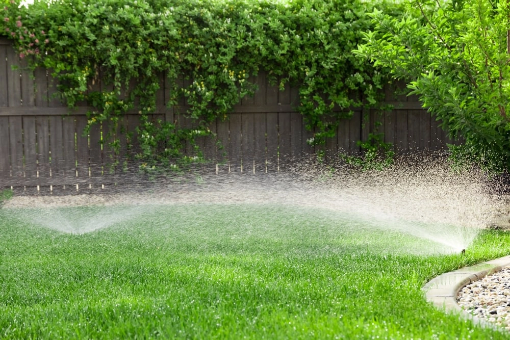 Healthy lawn being watered by sprinklers