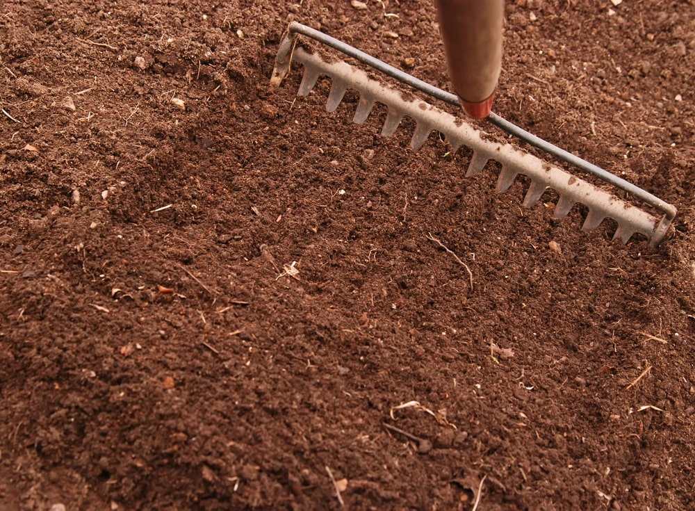Rake clearing debris in garden soil
