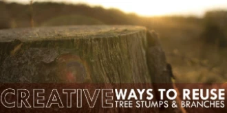 Tree stump with text: "Creative ways to reuse tree stumps & branches"