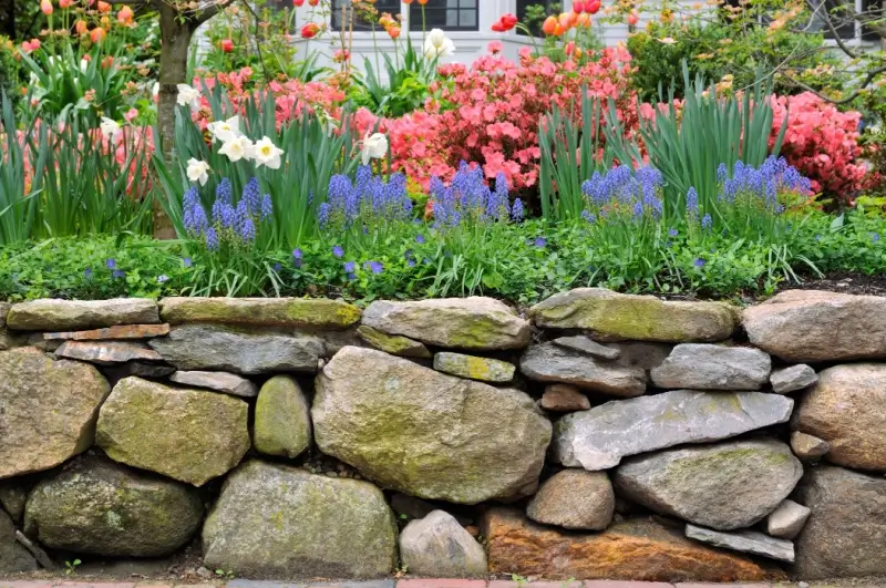 Flowerbed with stone retaining wall.