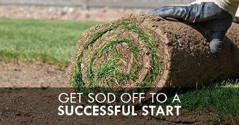 Gross sod with text: "Get sod off to a successful start"