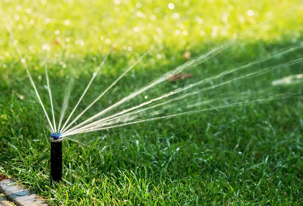 Sprinkler system watering grass in backyard