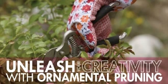 Person pruning with text: "Unleash your creativity with ornamental pruning"