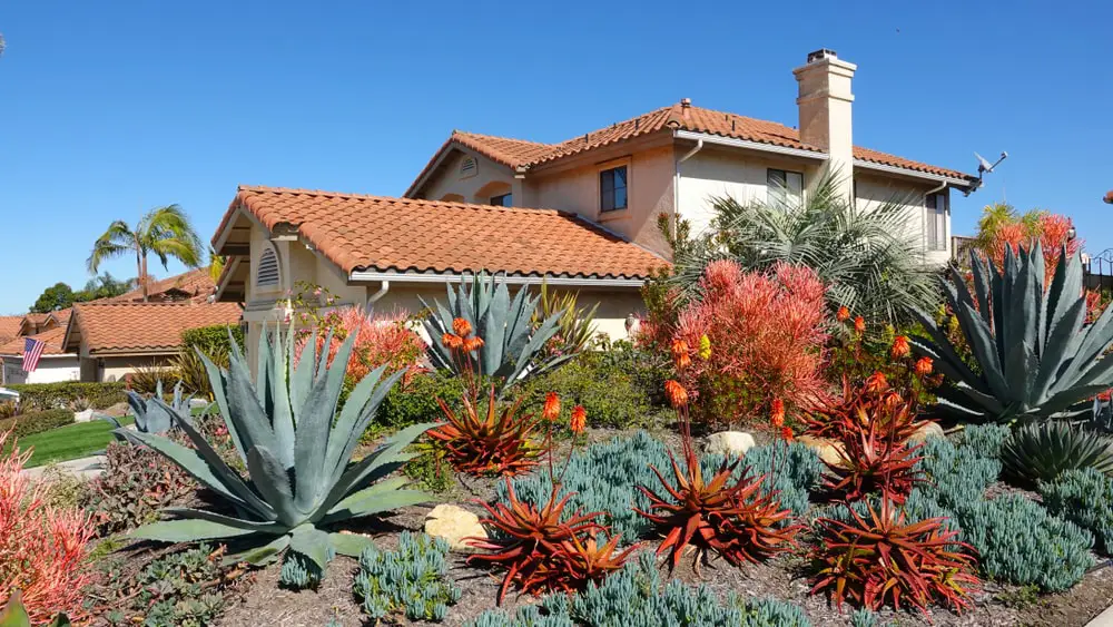 Residential front yard with xeriscaping