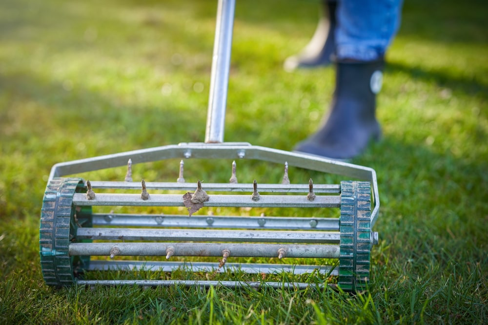 Landscaper using a lawn aerator tool