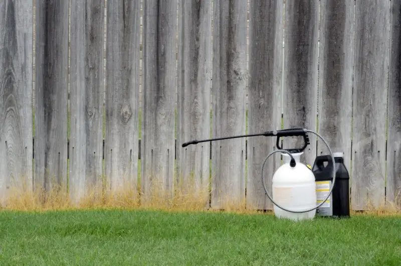 Weed killer spray equipment on grass.