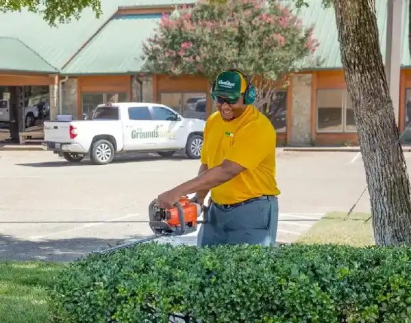 Grounds Guys associate in yellow shirt trimming hedges.
