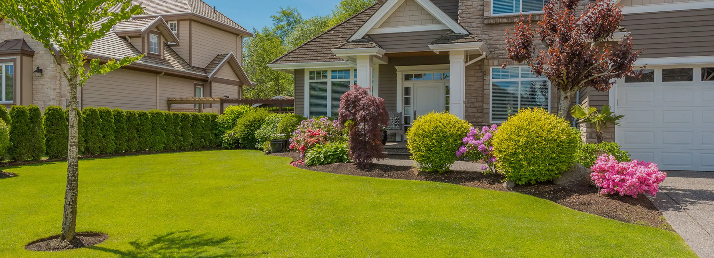 Large home with well-manicured lawn and bushes lining path to front door.