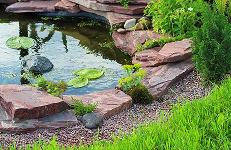 Pond with water lilies framed by rocks and shrubs.