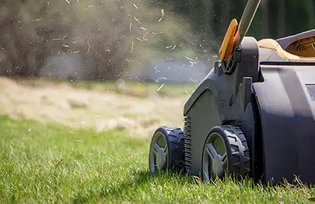 Lawnmower being used on green lawn.