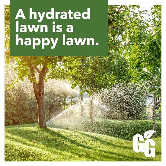A sprinkler spraying water on lawn and trees, along with the words A hydrated lawn is a happy lawn and the Grounds Guys logo.