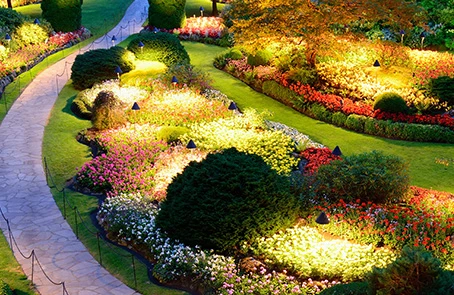 Flower beds at dusk, illuminated with outdoor lighting, along a stone path.
