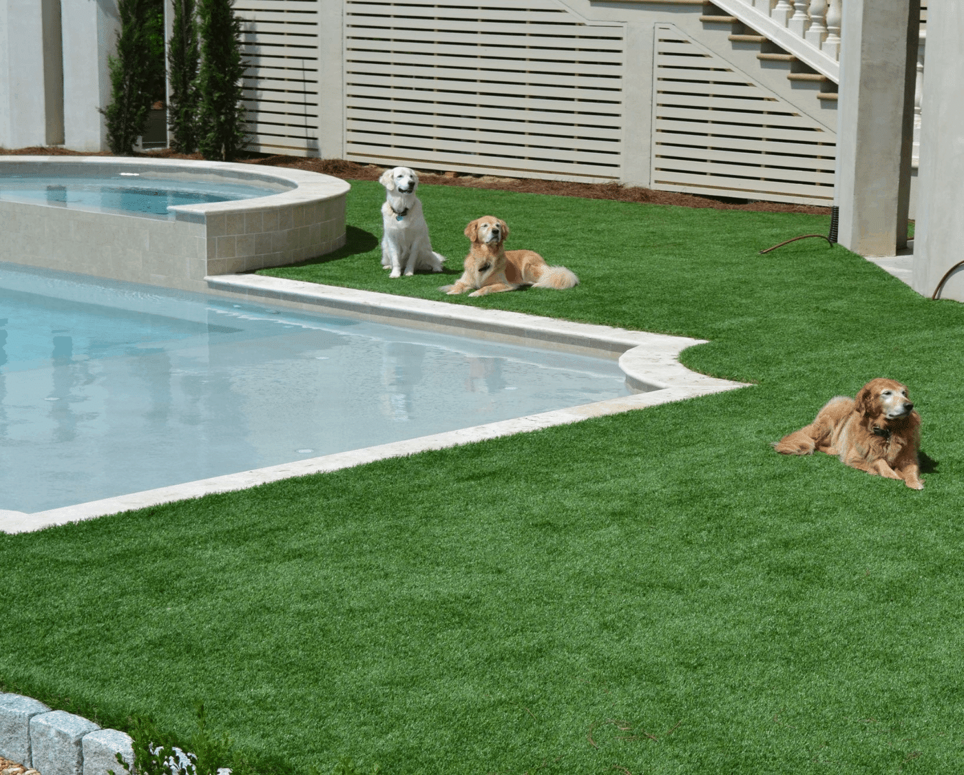 A fenced-in backyard with artificial turf, an inground pool, and three dogs enjoying the sun.