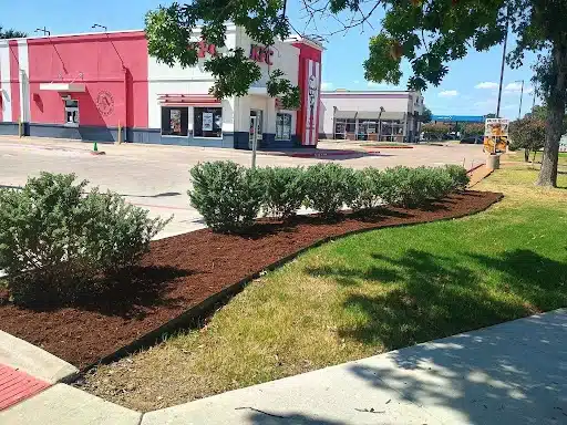 Mulch beds and shrubs installed by The Grounds Guys of Frisco at a fast food restaurant.