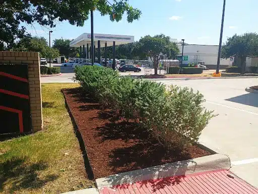 Mulch bed and shrubs installed by The Grounds Guys of Frisco at a fast food restaurant.