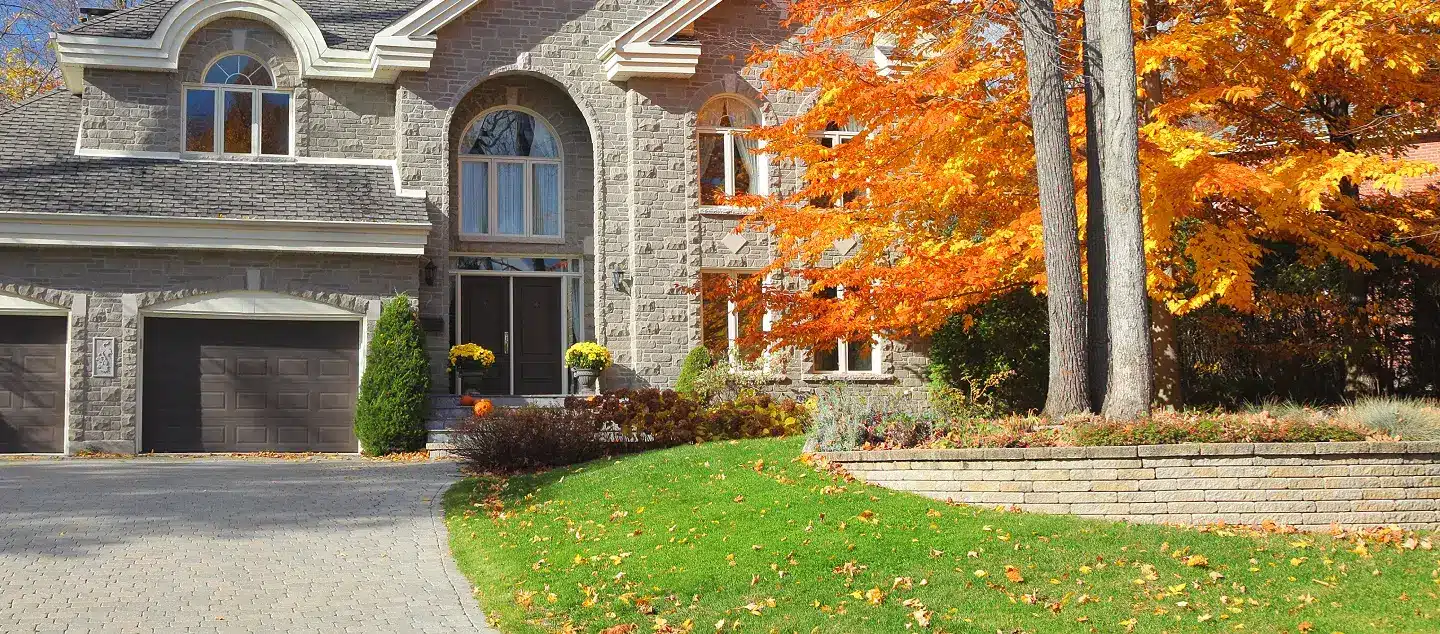 A tree with bright orange leaves in the front yard of a large home.