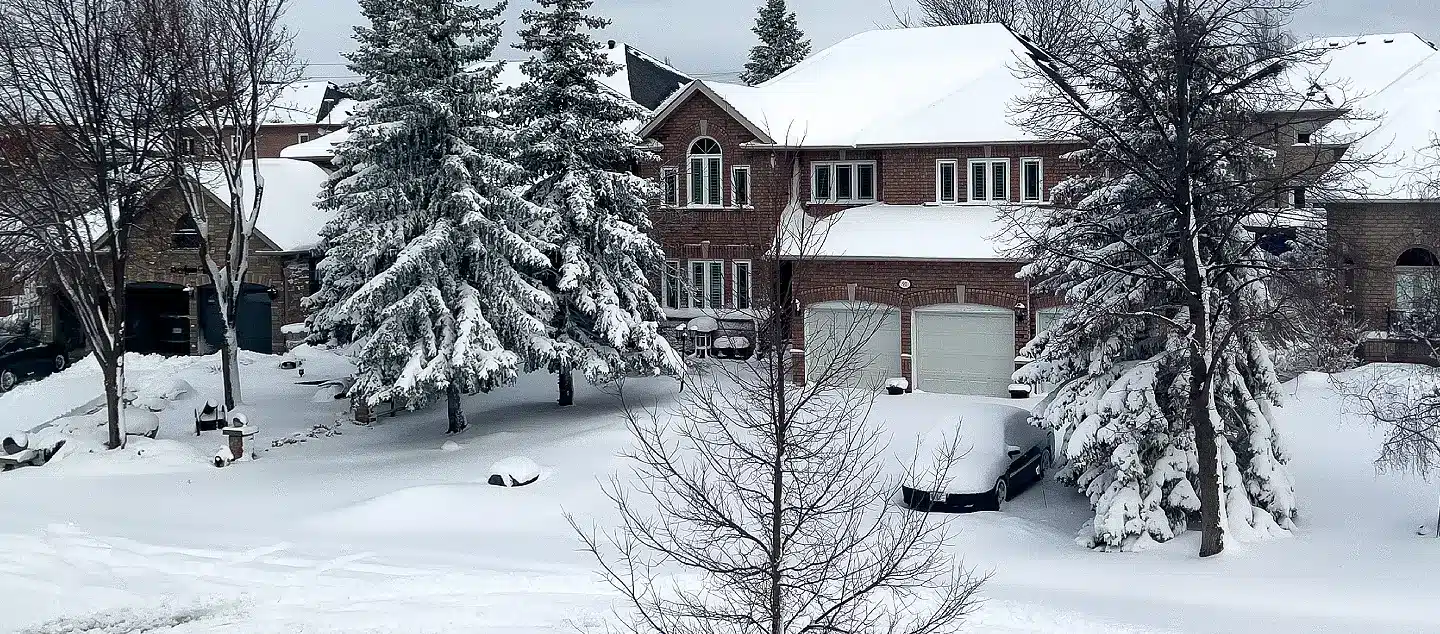 Single-family homes, trees, and a street covered in snow.