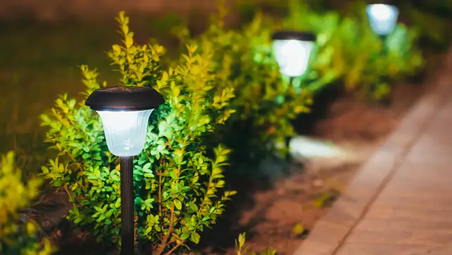 The Grounds Guys professional has installed in-ground outdoor lights.