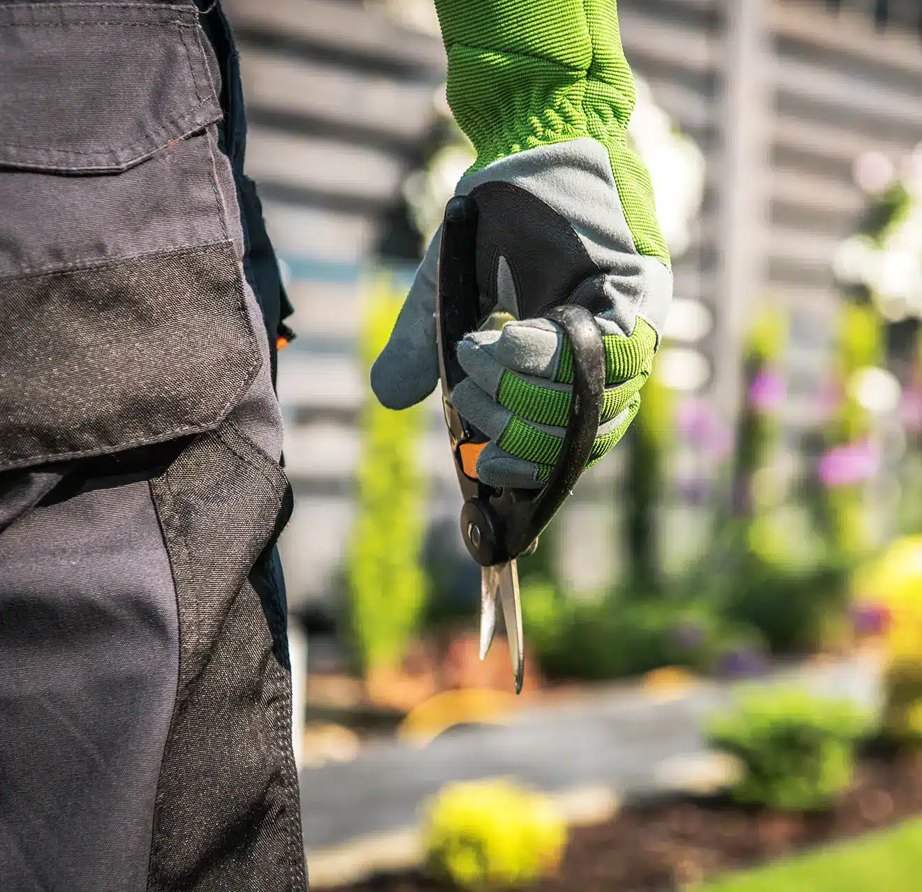 A Ground Guys professional holding a pair of gardening scissors with shrubs in the background.