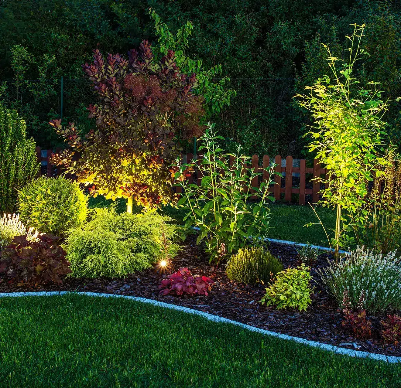 A shrub and flower garden illuminated by outdoor lighting.