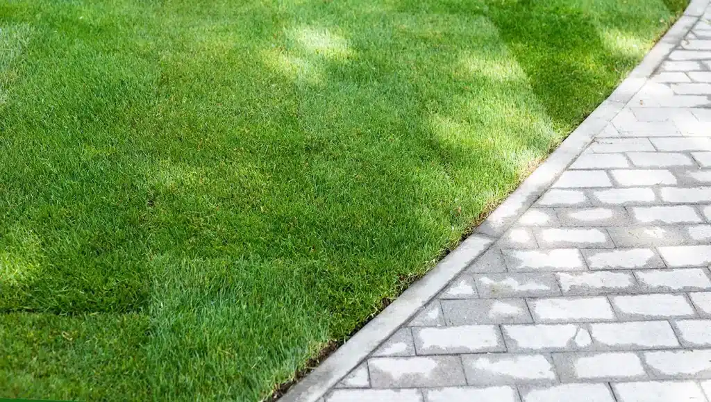 Freshly installed sod next to a stone walkway.