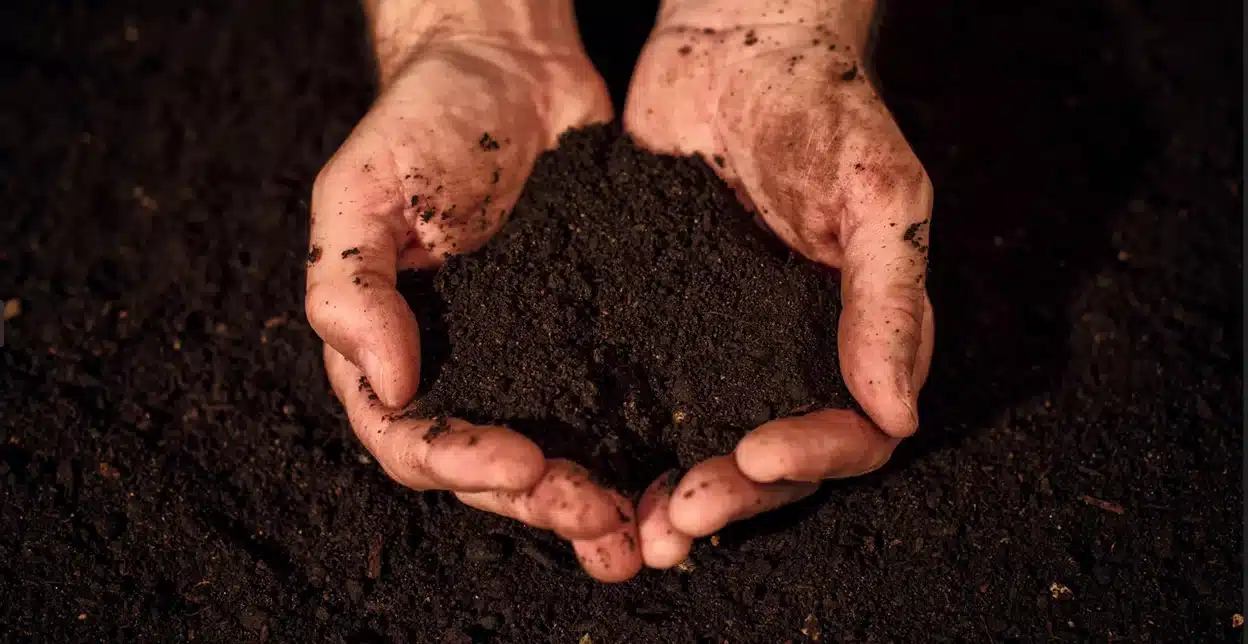 Hands holding a clump of dirt.