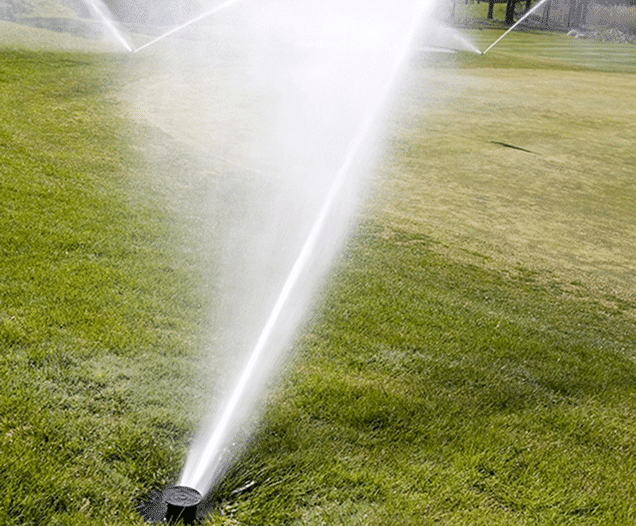 Image of sprinkler spraying water in Grounds Guys customer's yard.