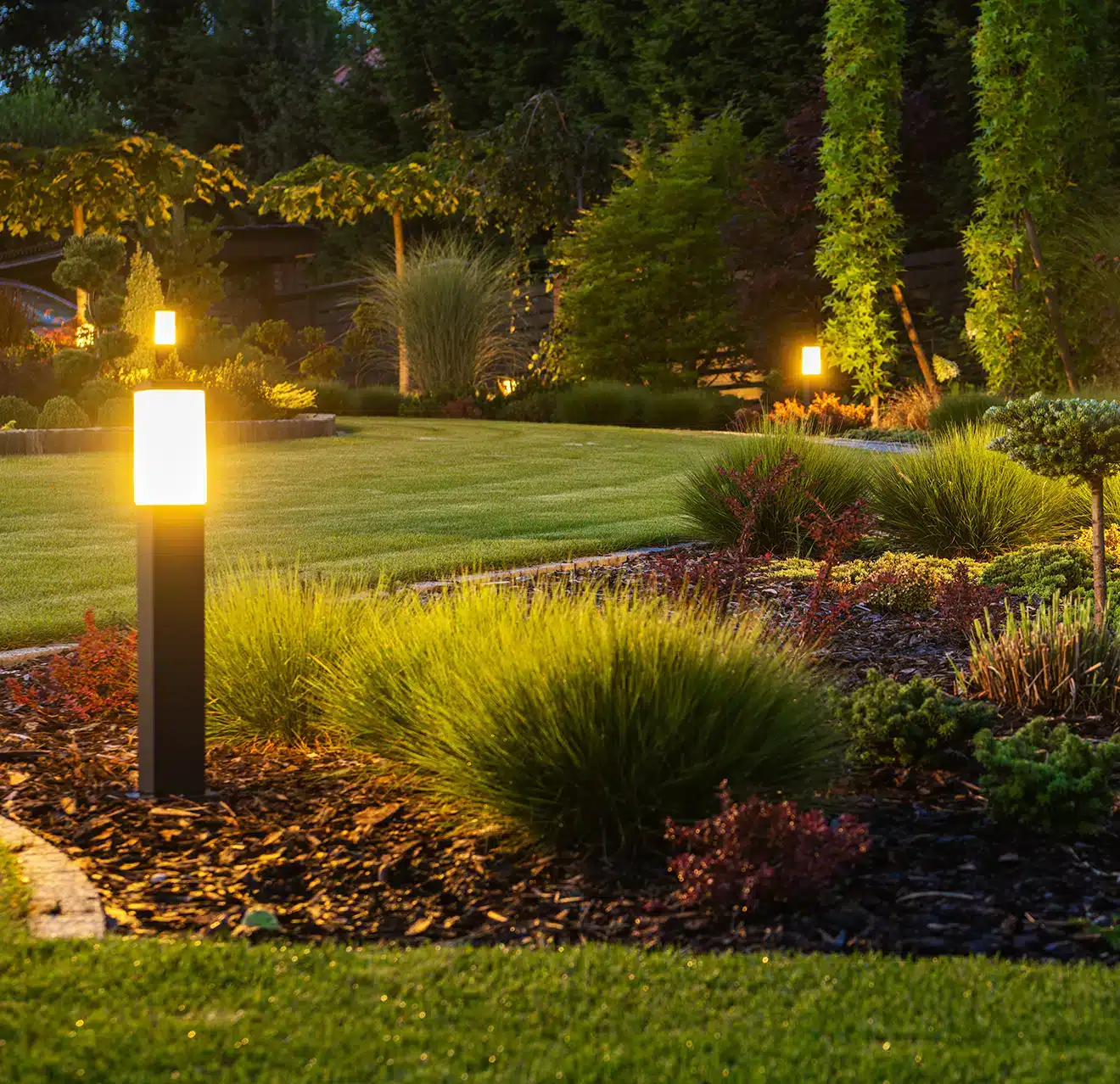 Image of landscape lighting in Grounds Guys customer's yard.