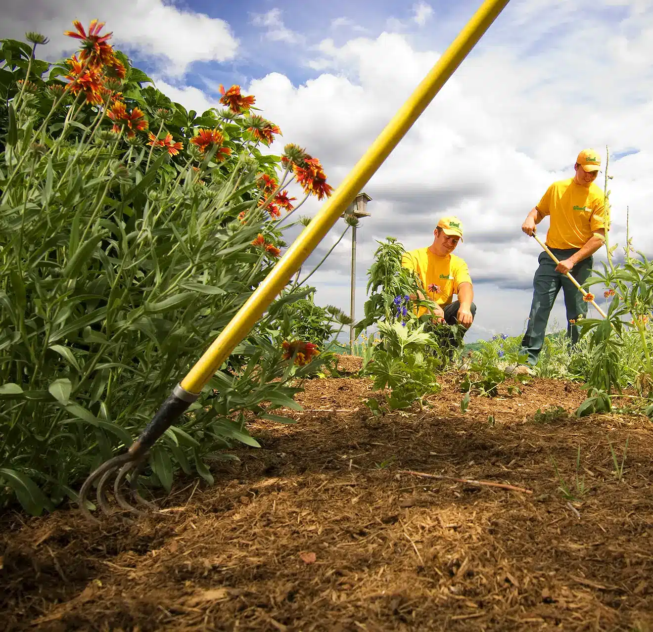 A team of The Grounds Guys service professionals cleaning up a mulch bed.
