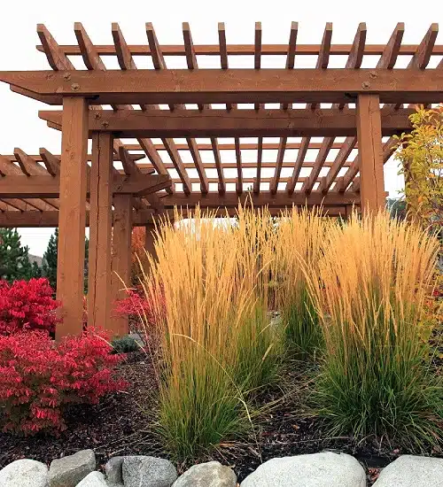 A pergola bordered by large stones, tall grasses, and flowering red bushes.