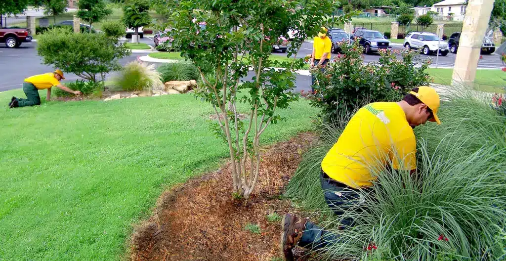 Three Grounds Guys service professionals edging a lawn and mulching and weeding garden beds for a condo community.
