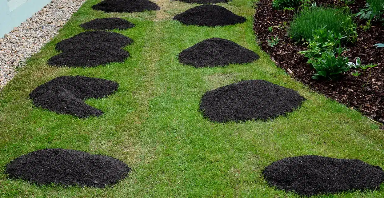 Compost applied to a lawn in circular patches to improve the grass.