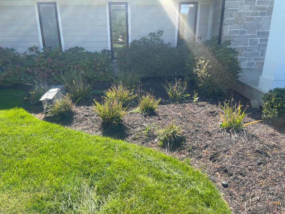 Bed edging