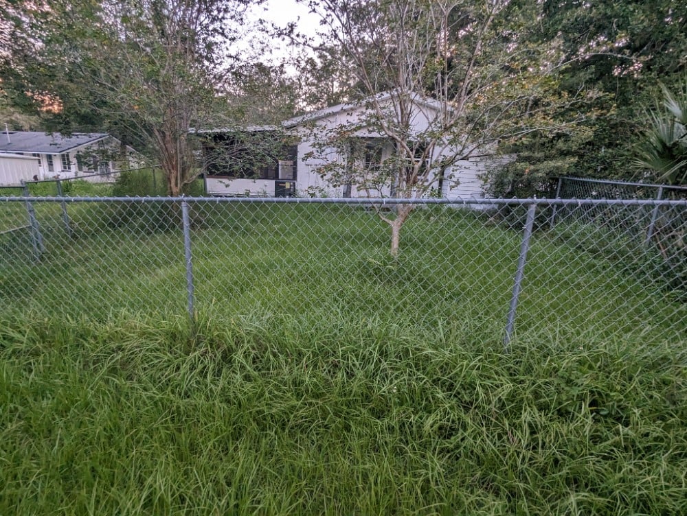 Lawn Maintenance -Before