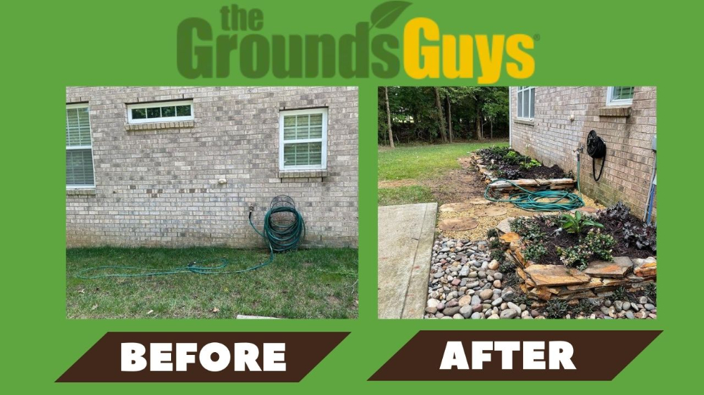 Before and After