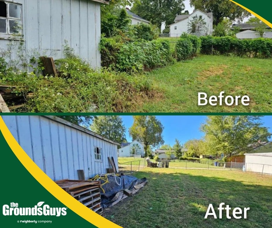 Grounds Guys of Union - Before and after photos showing brush, vine, and tree removal along the customer's fence line.