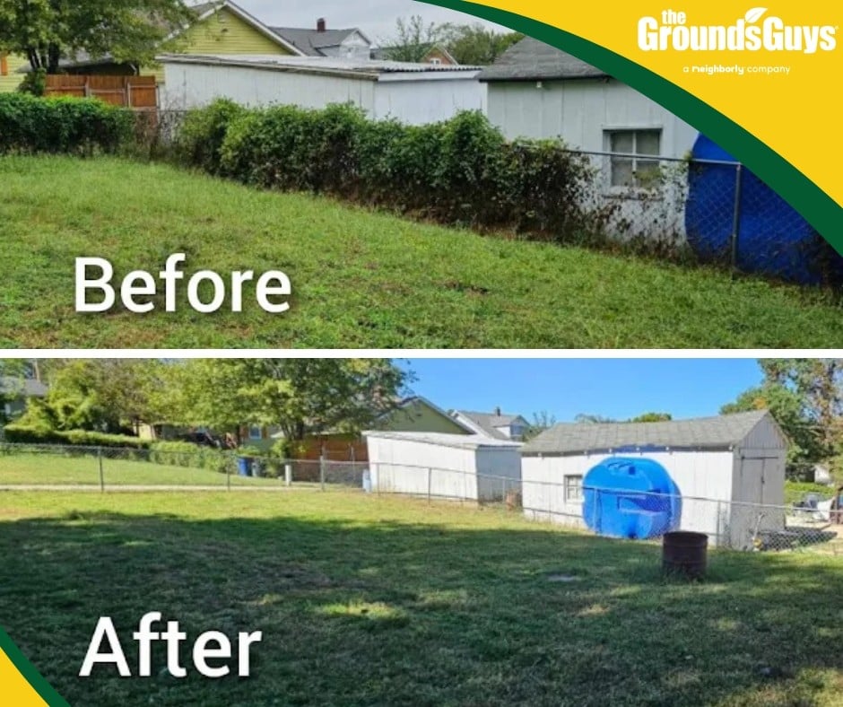 Grounds Guys of Union - Before and after photos showing brush, vine, and tree removal along the customer's fence line.