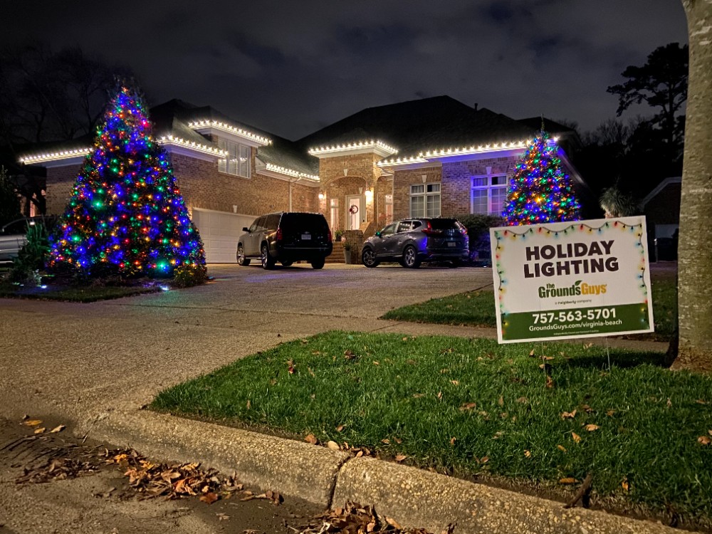 Holiday Lights