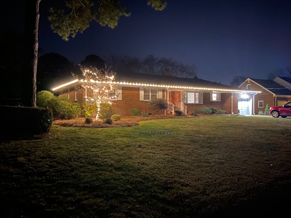 Holiday Lights